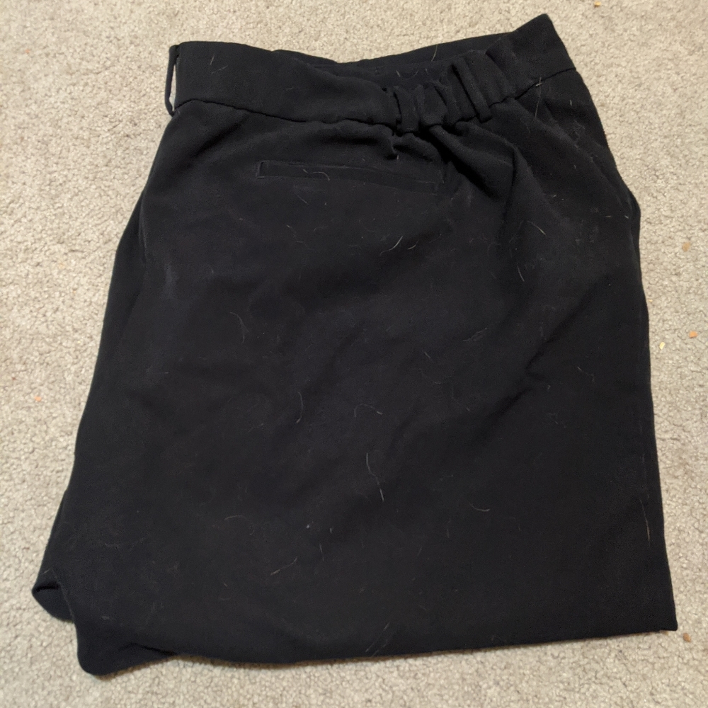 Black pants